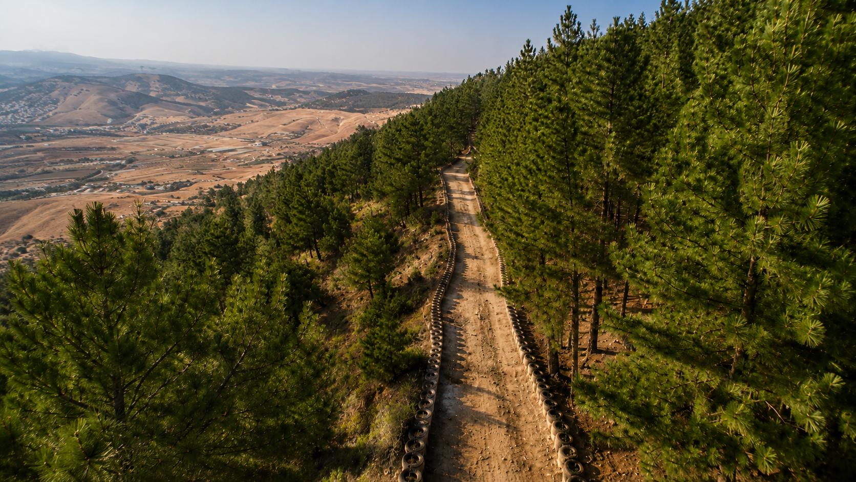 Forest Park mountain landscape